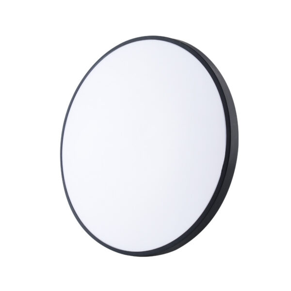 Smart Ceiling Light A1